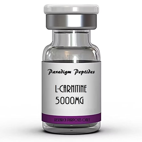 L-Carnitine 600mg ml 6,000mg Paradigm Peptides