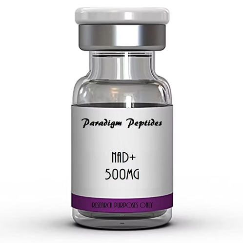 NAD+ 500mg FromParadigm Peptides